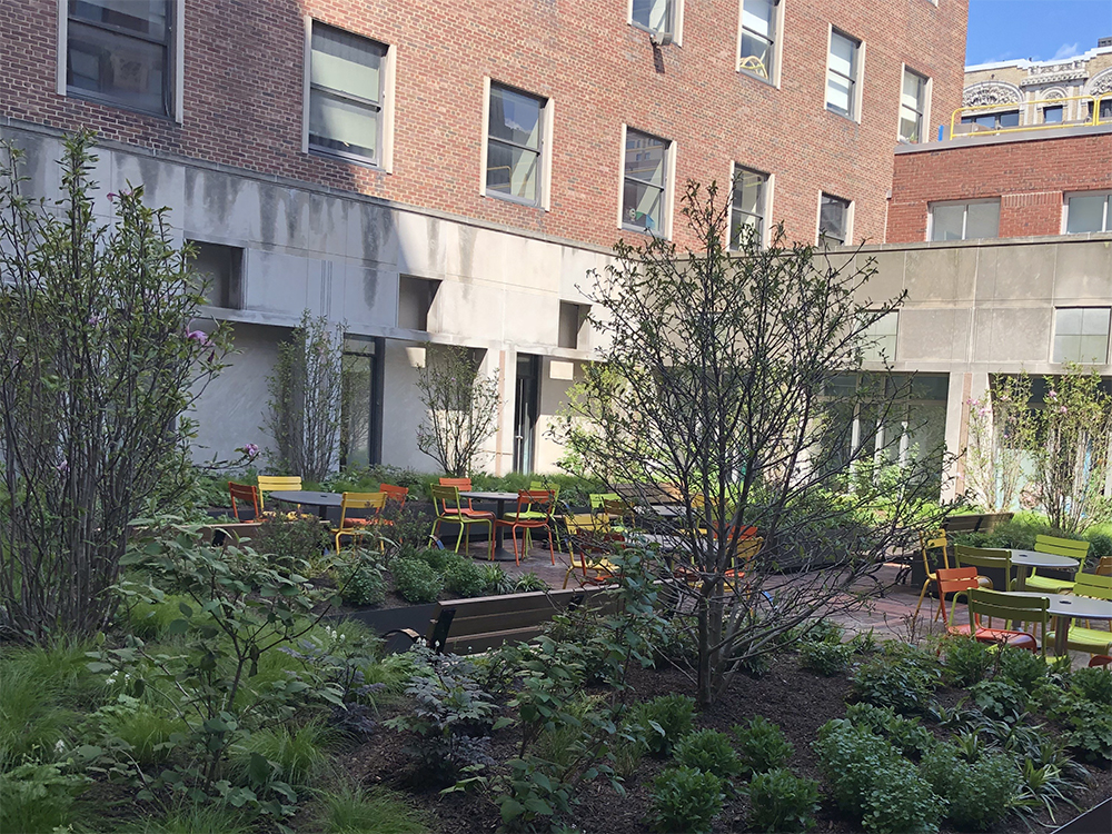 Courtyard area with trees, small shrubs, wooden benches, and six metal tables with green and orange metal chairs. The interior courtyard is surrounded by concrete building walls.