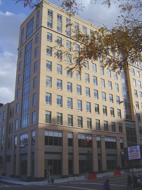 An 11-story grey stone building. A tree branch partially obscures the building. 