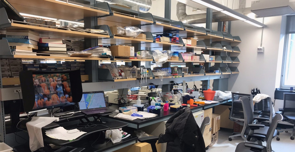 The interior of a lab spaze with equipment stocked throughout the shelves and all over the work station