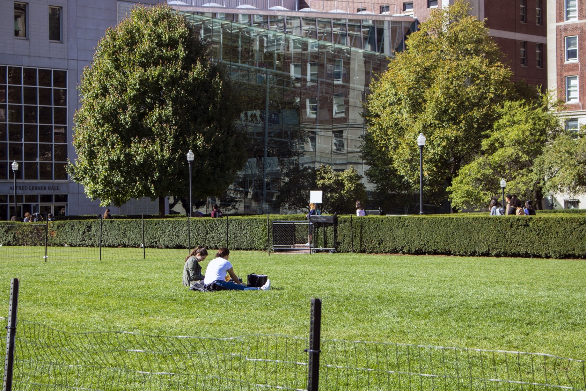 Two students sitting on Butler Lawn with Lerner Hall in the background